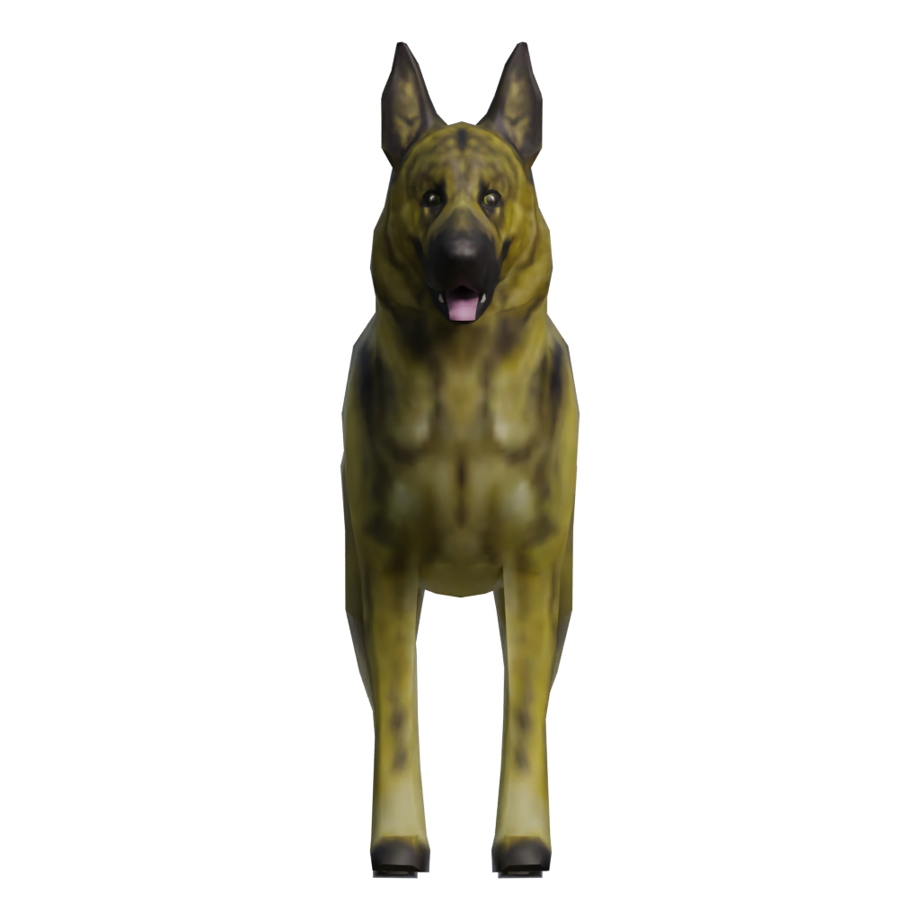 Front view of the Dog 3D model