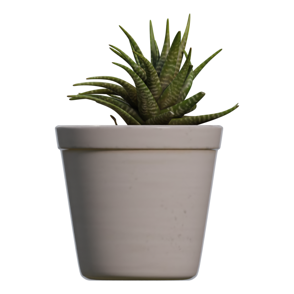 Right view of the Potted Plant 3D model