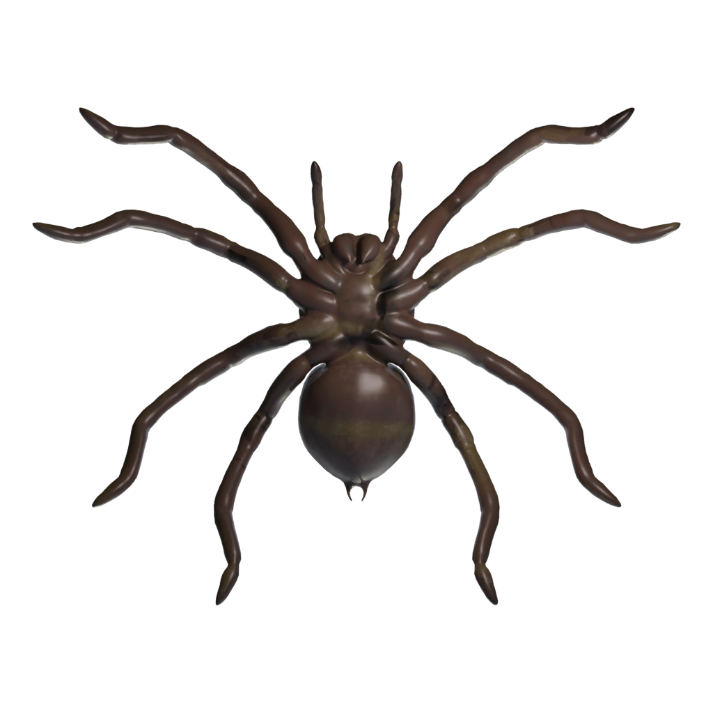 Bottom view of the Spider Low Poly 3D model