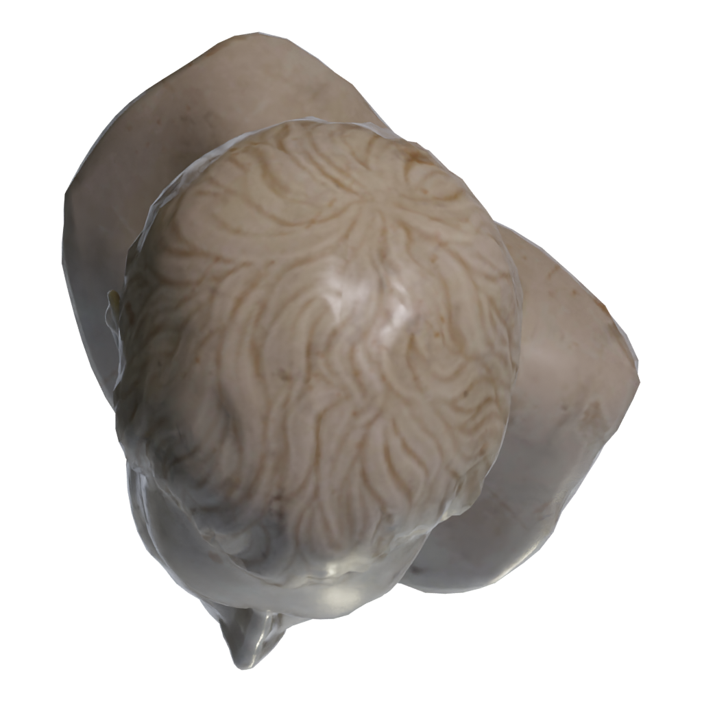 Top view of the Marble Bust 3D model