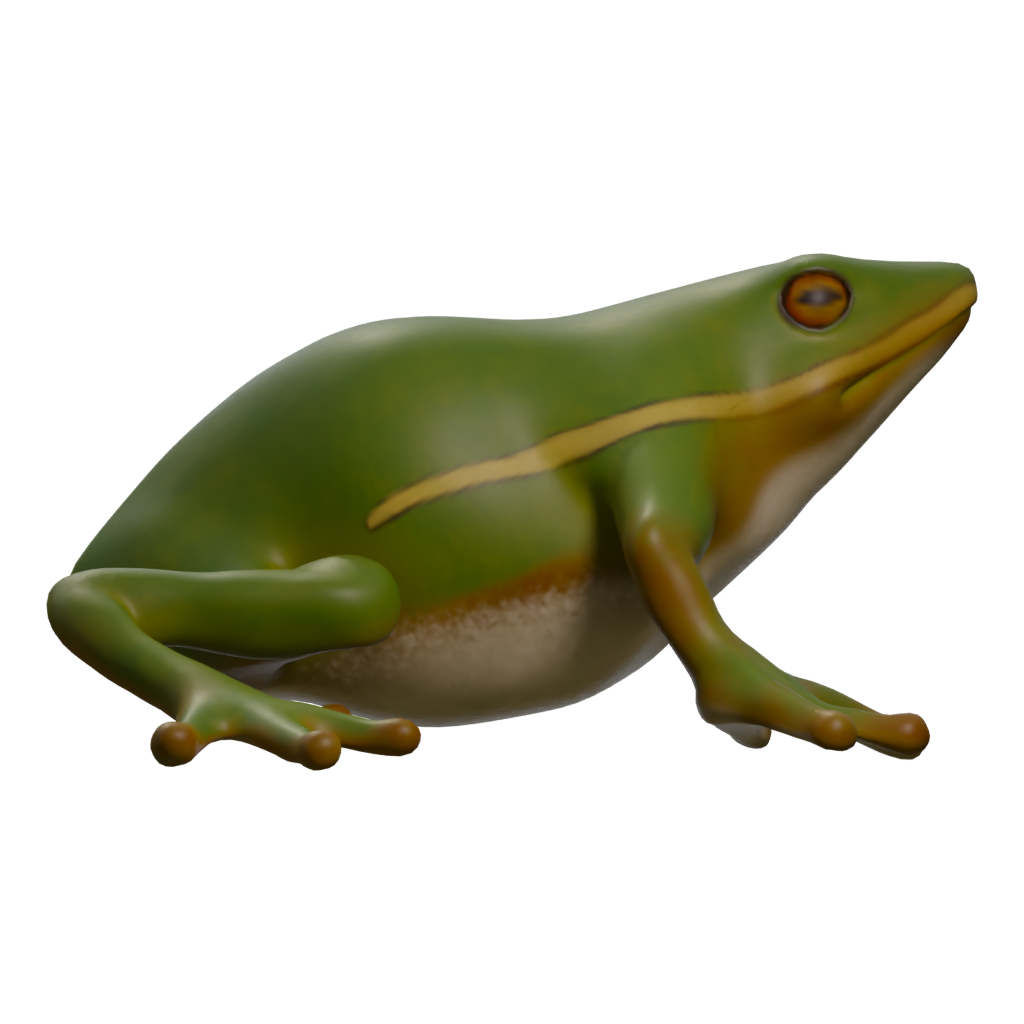 Right view of the Frog 3D model