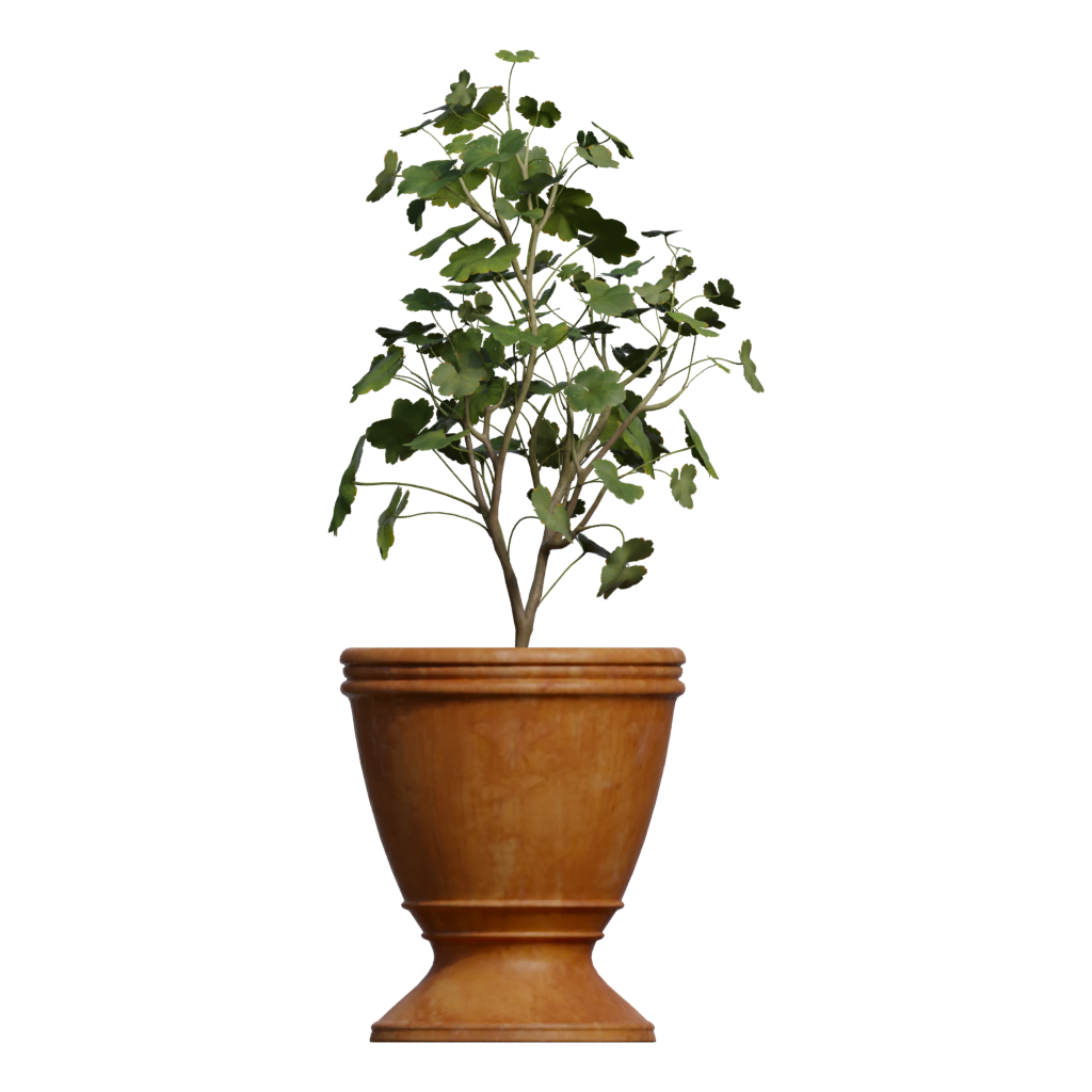 Back view of the Potted Plant 3D model