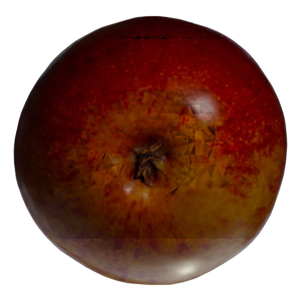 Bottom view of the Apple 3D model