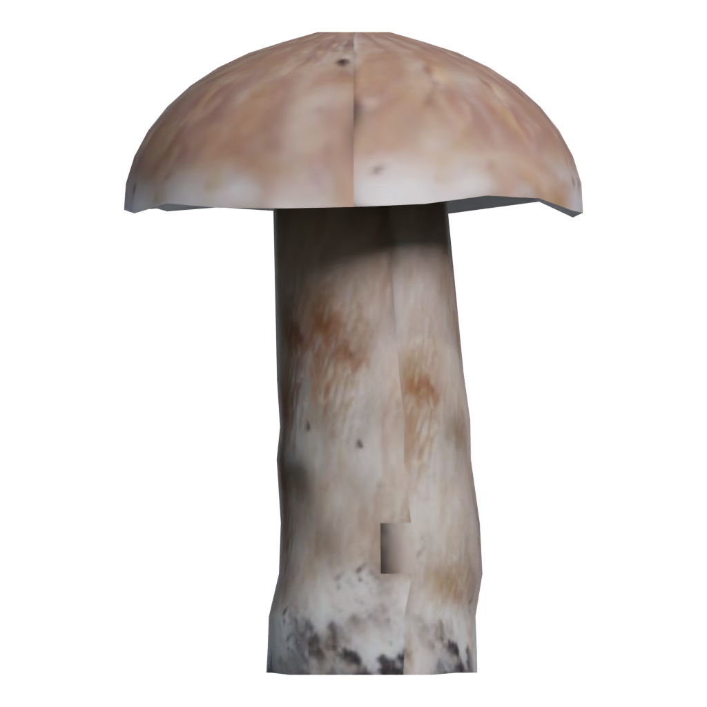 Back view of the Mushroom 00017 3D model