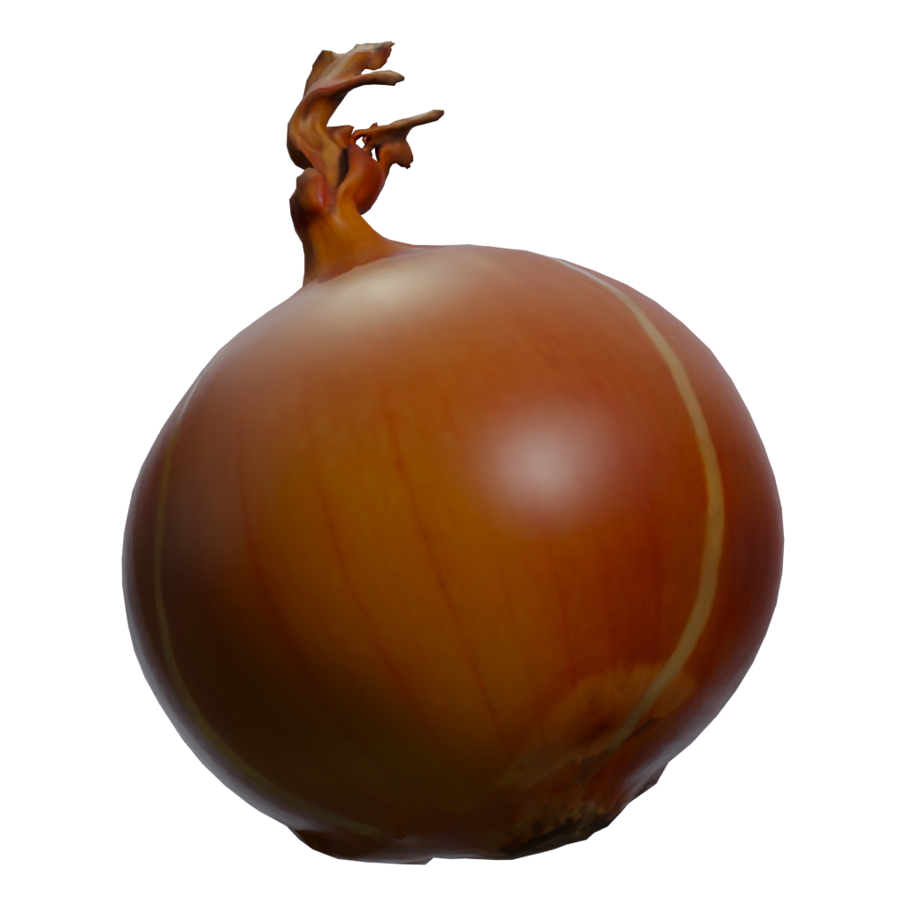 Left view of the Yellow Onion 3D model