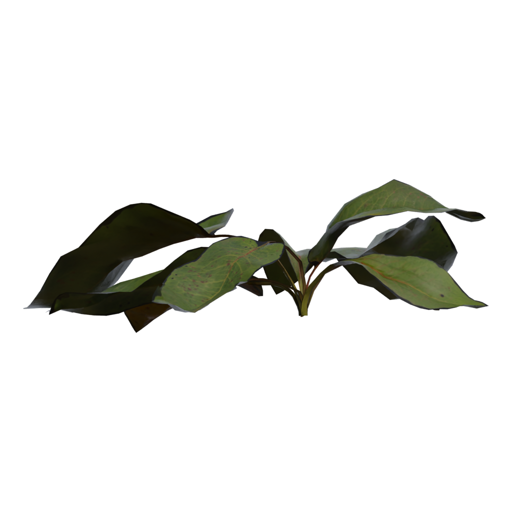 Back view of the Weed Plant 3D model