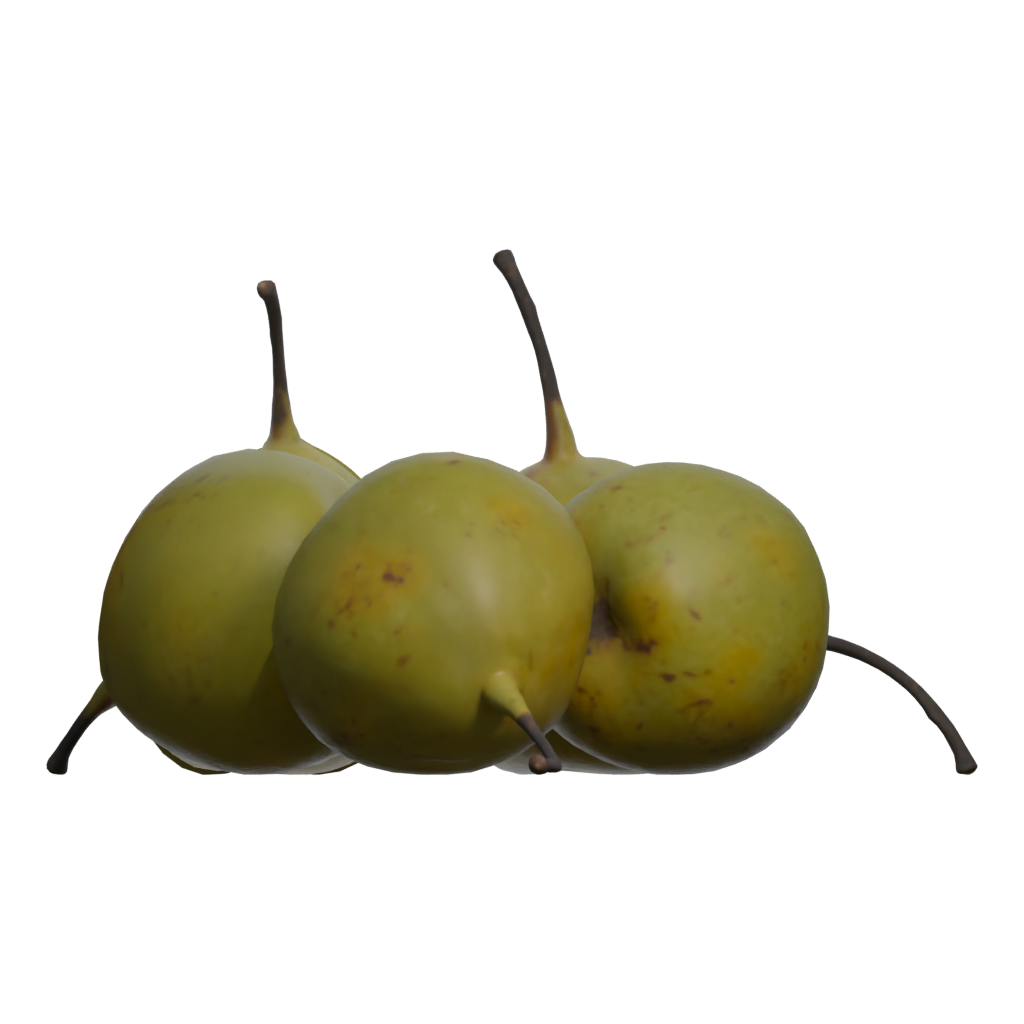 Back view of the Pears Asian 3D model