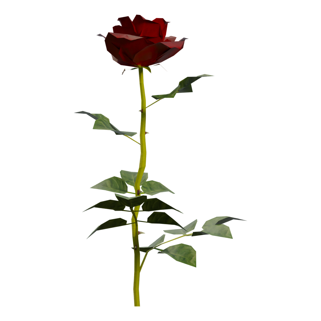 Right view of the Rose 3D model