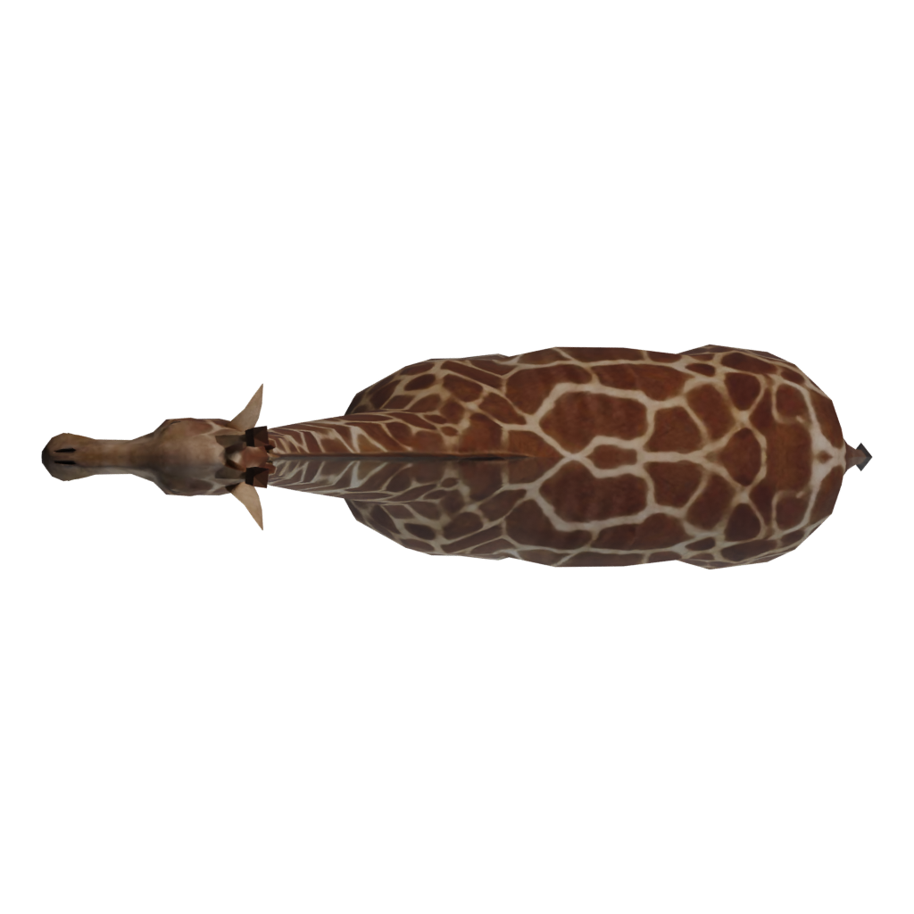 Top view of the Rigged Giraffe 3D model
