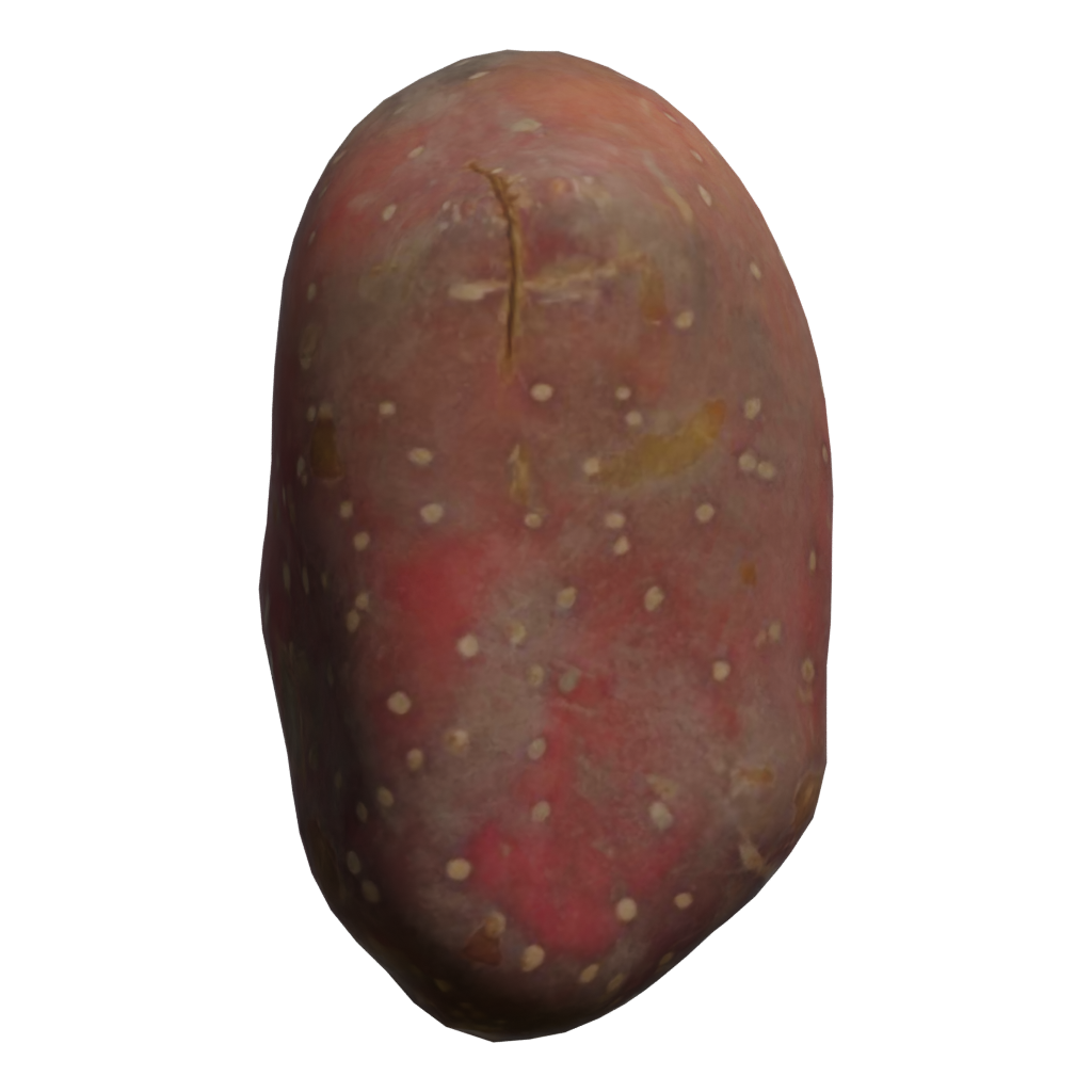Front view of the Sweet Potato 3D model