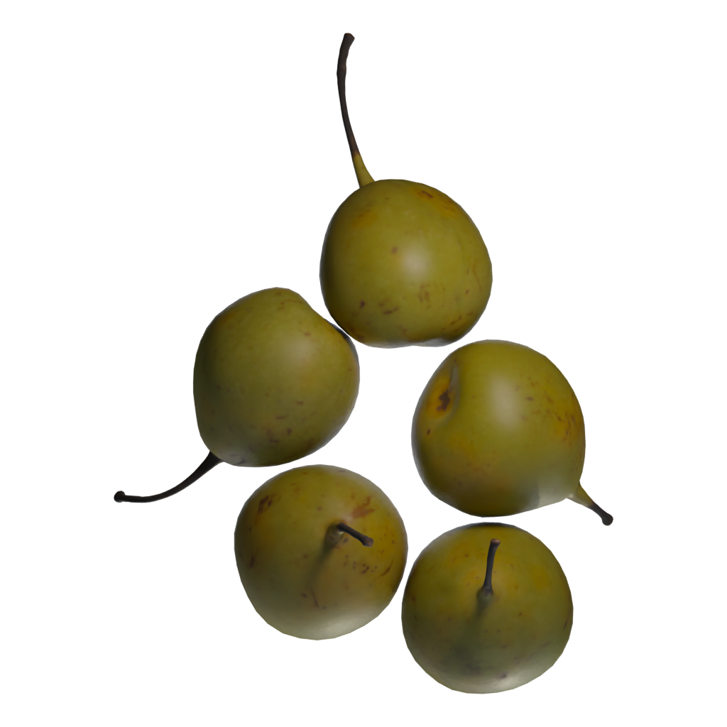 Top view of the Pears Asian 3D model