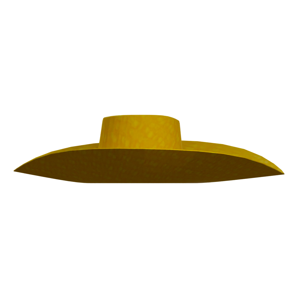 Right view of the Cowboy Hat 3D model