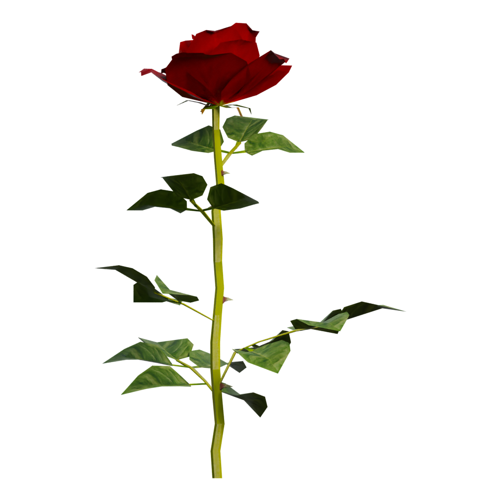Back view of the Rose 3D model