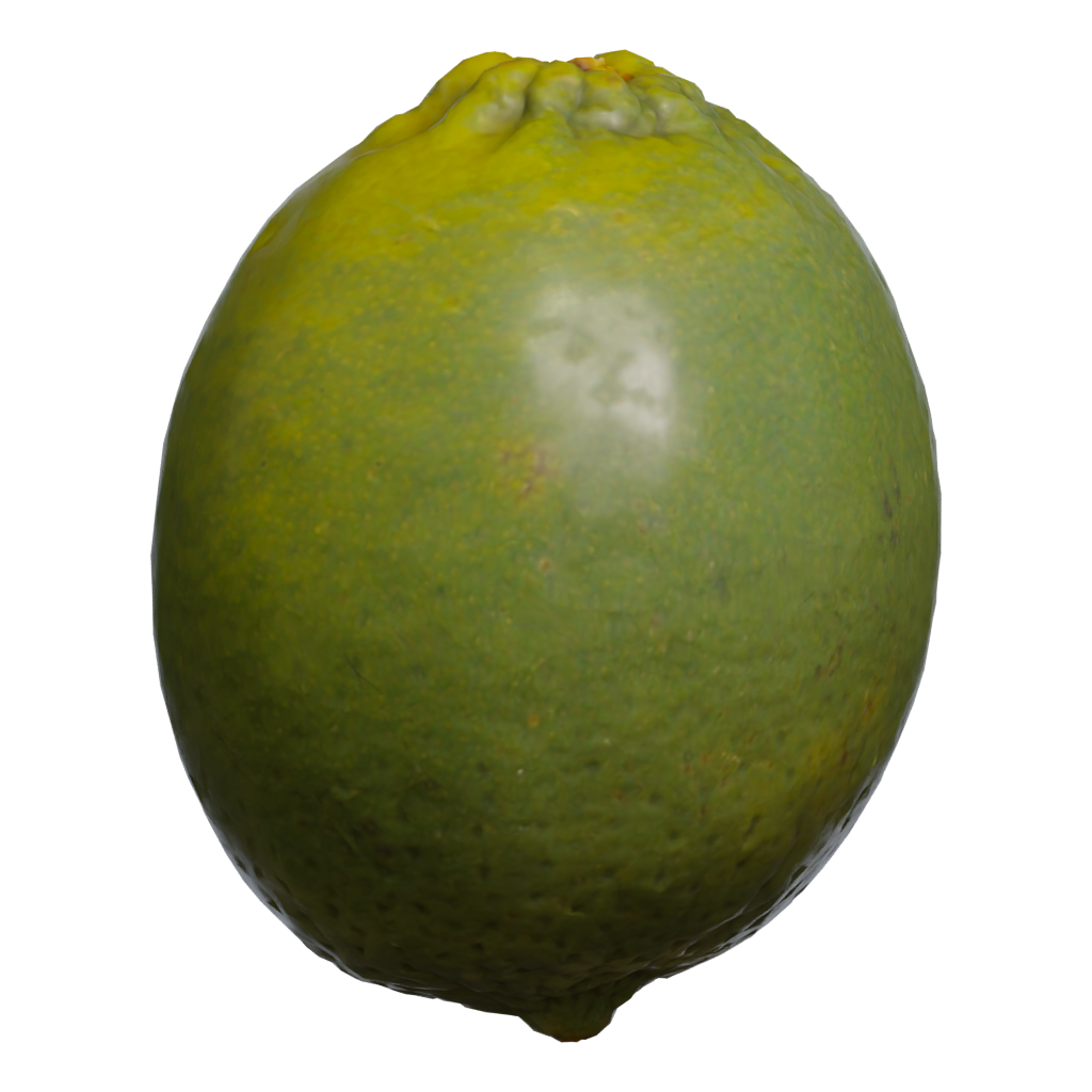 Front view of the Lime 3D model