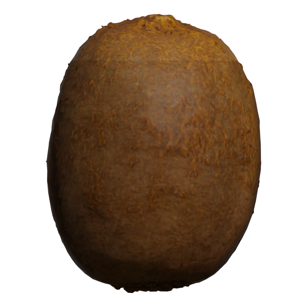 Back view of the Kiwi 3D model