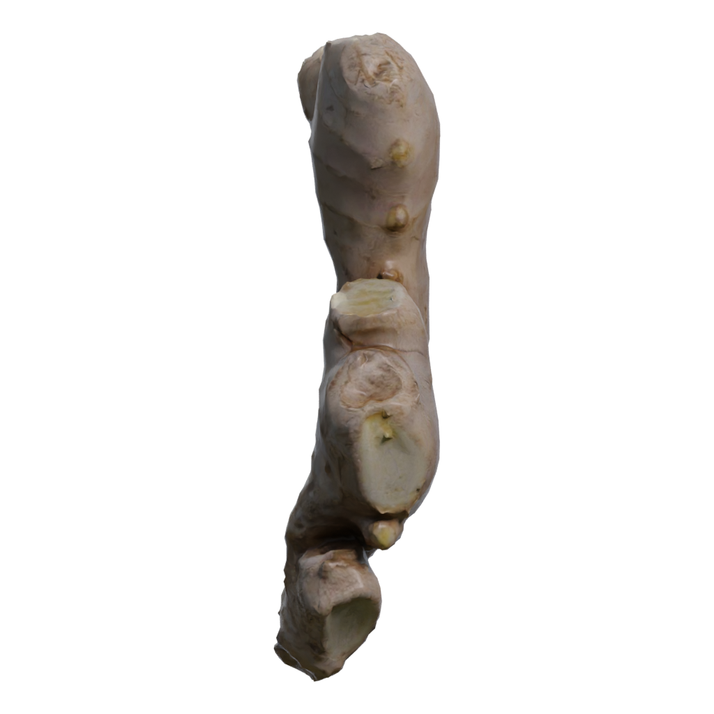Right view of the Ginger 3D model
