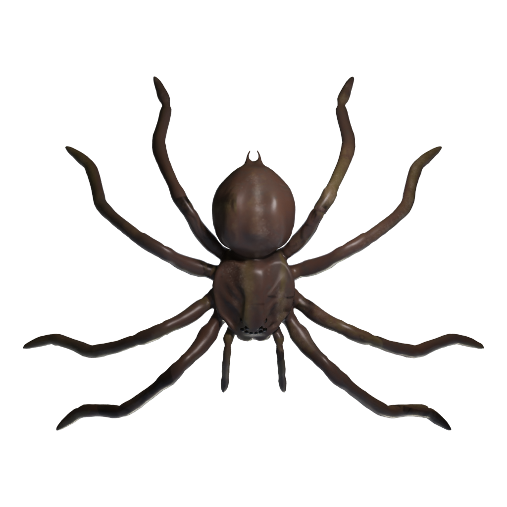 Top view of the Spider Low Poly 3D model