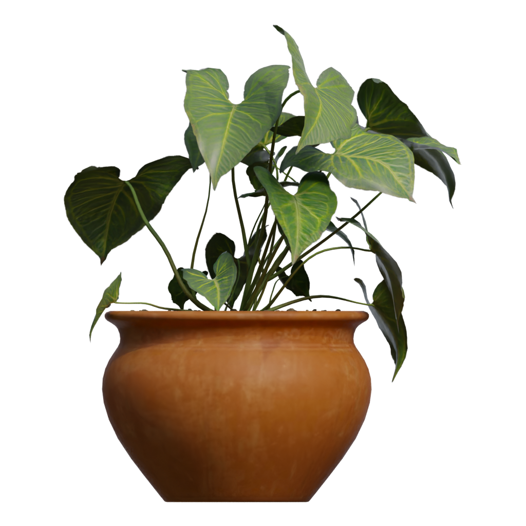 Back view of the Potted Plant 3D model