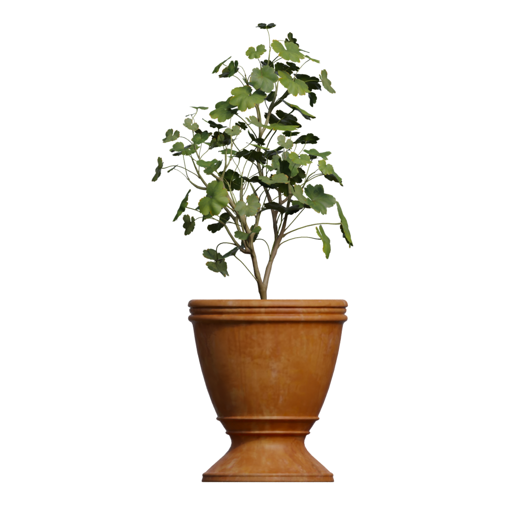 Front view of the Potted Plant 3D model