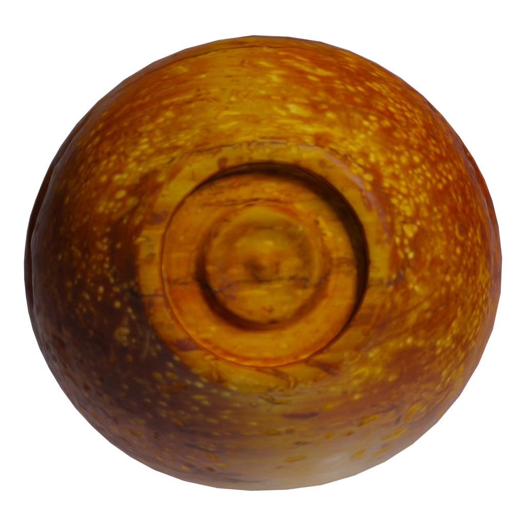 Bottom view of the Wooden Bowl 3D model