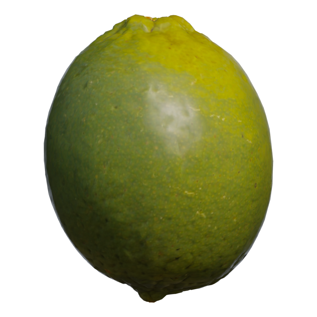 Back view of the Lime 3D model