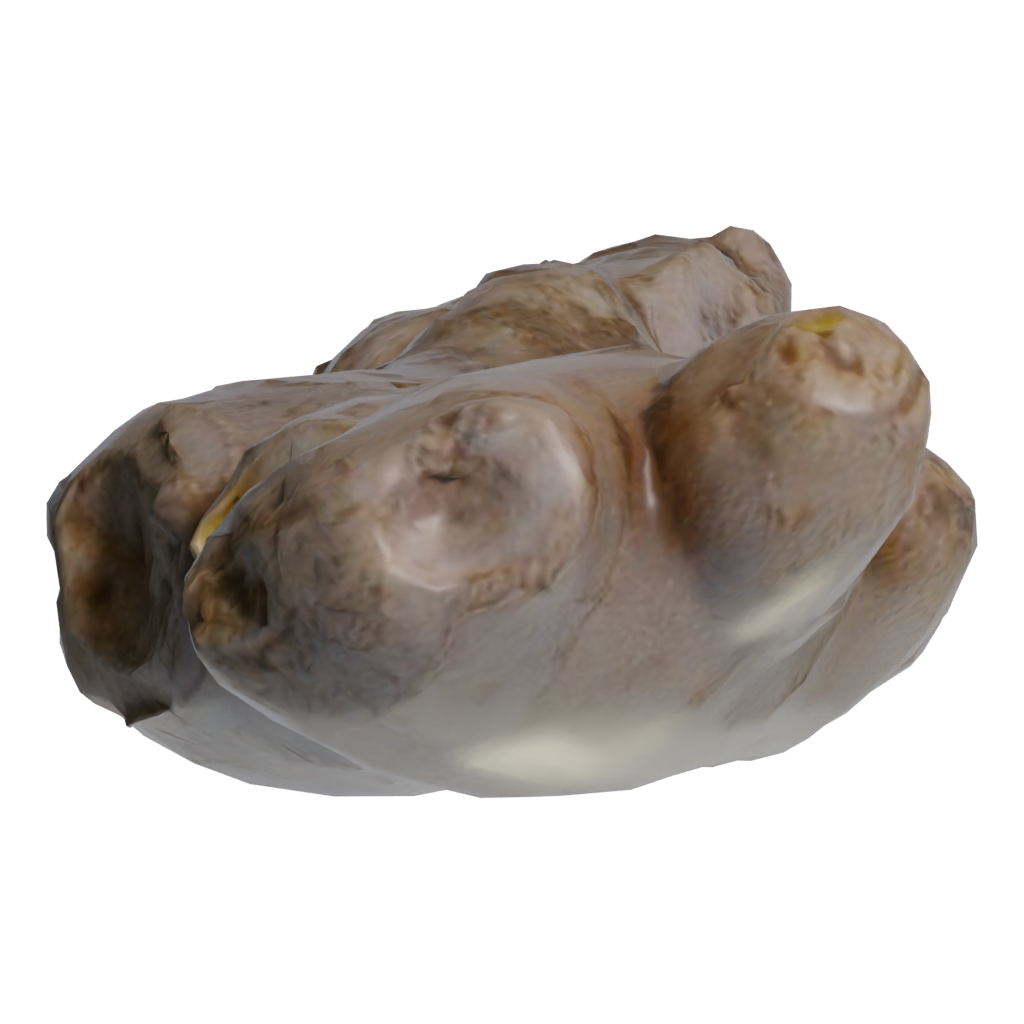 Top view of the Ginger 3D model