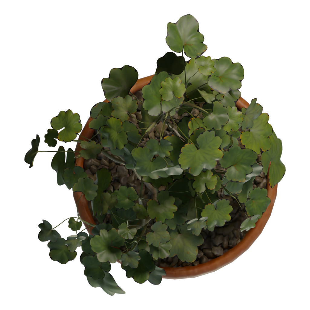 Top view of the Simple Pot Low Poly 3D model