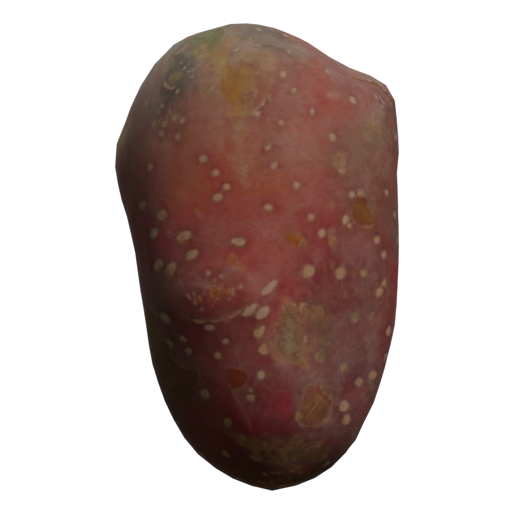 Right view of the Sweet Potato 3D model