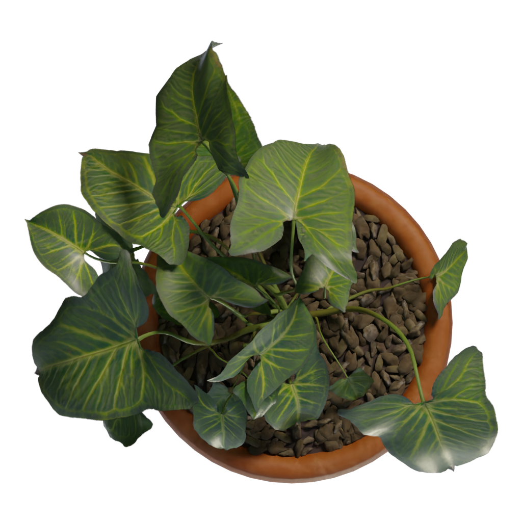 Top view of the Potted Plant 3D model