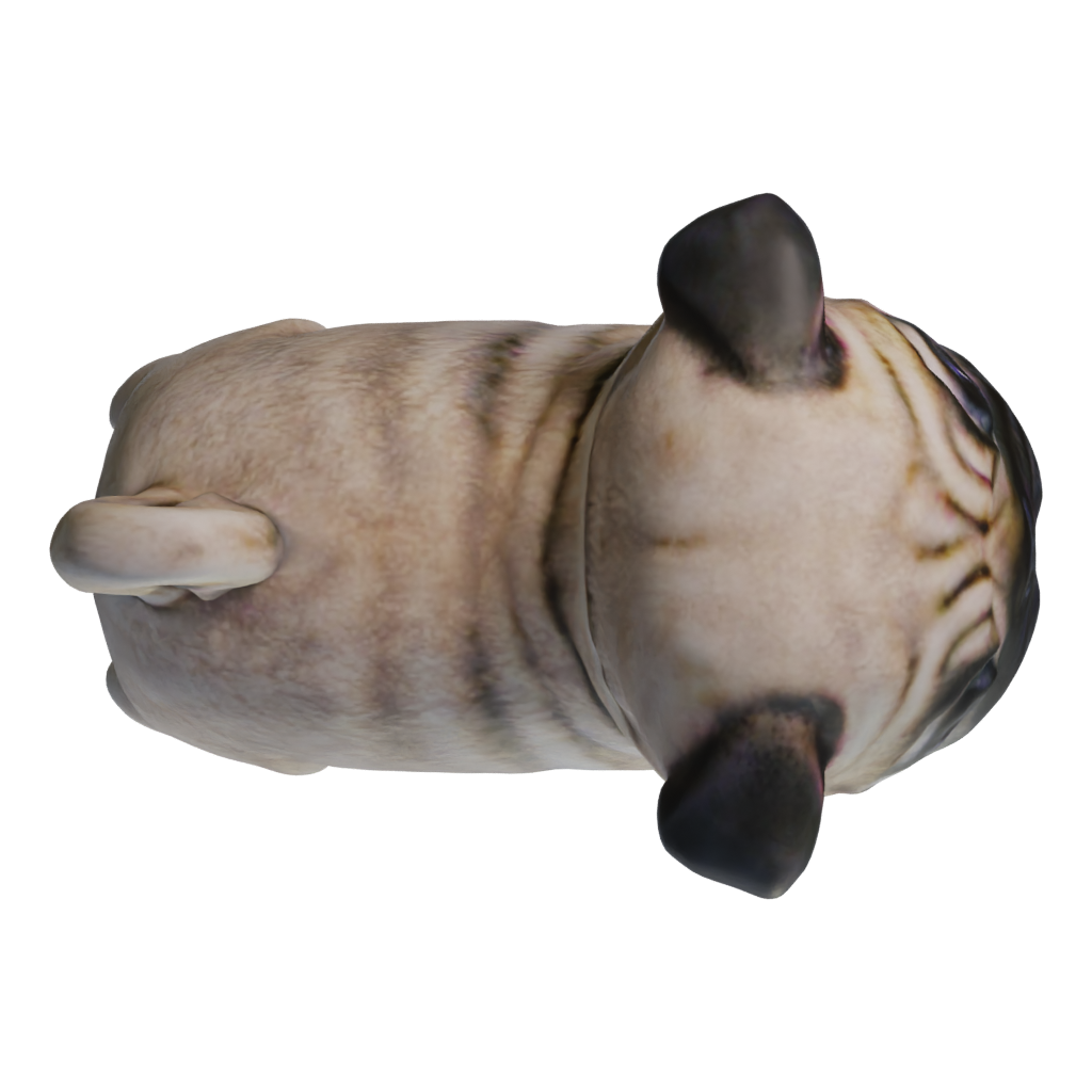 Top view of the Mopspen 3D model