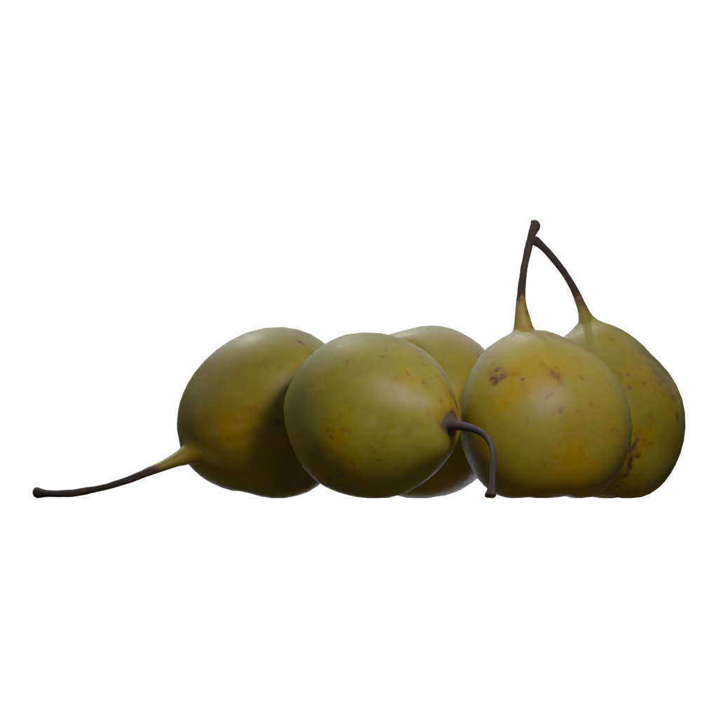 Right view of the Pears Asian 3D model