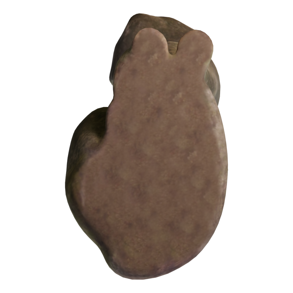 Bottom view of the Concrete Cat Statue 3D model