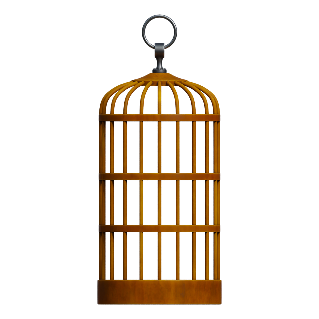 Front view of the Birdcage 3 3D model