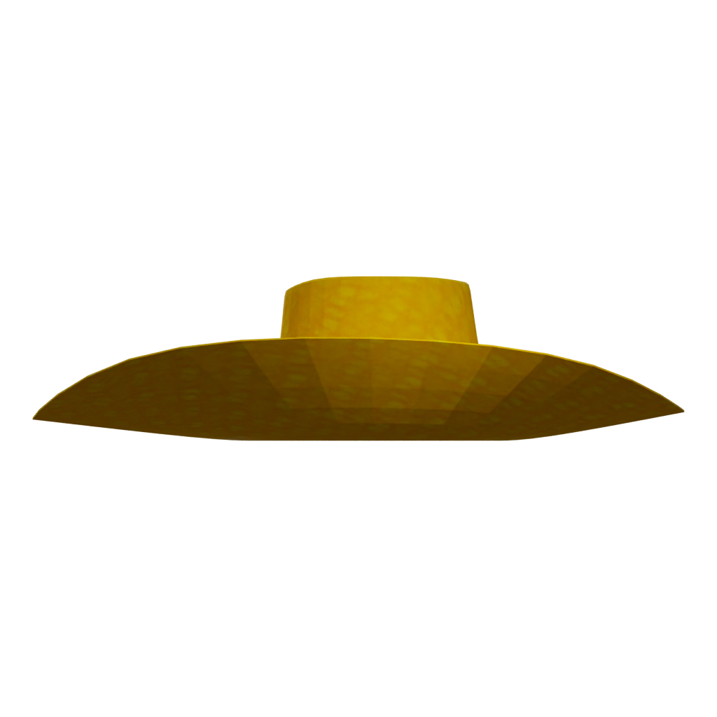 Left view of the Cowboy Hat 3D model