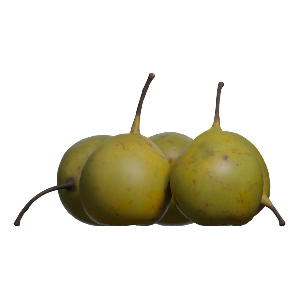 Front view of the Pears Asian 3D model