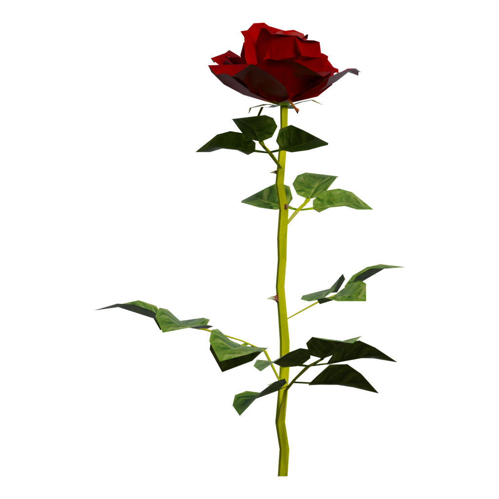 Front view of the Rose 3D model