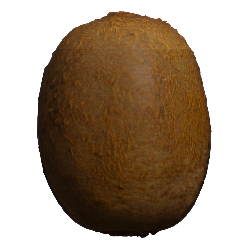 Front view of the Kiwi 3D model