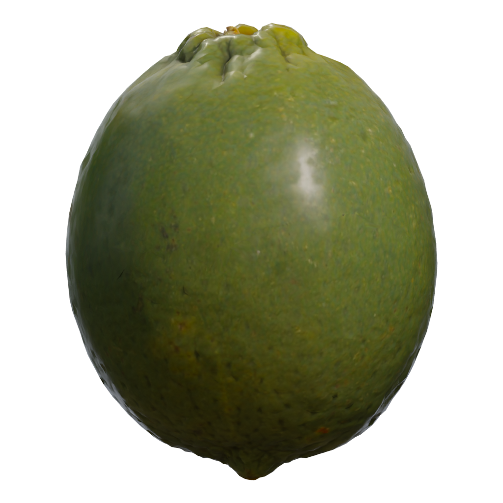 Left view of the Lime 3D model