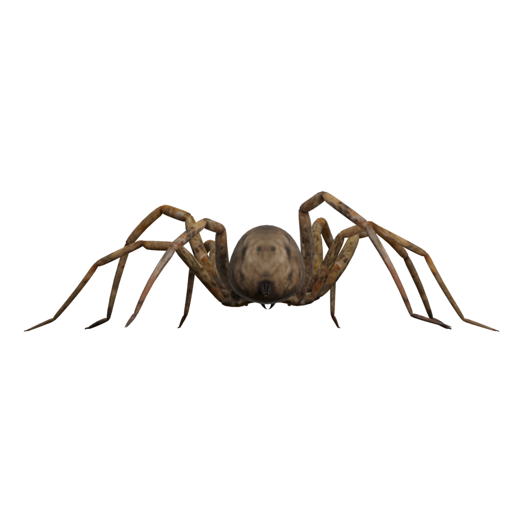 Back view of the Spider Tarantula 3D model