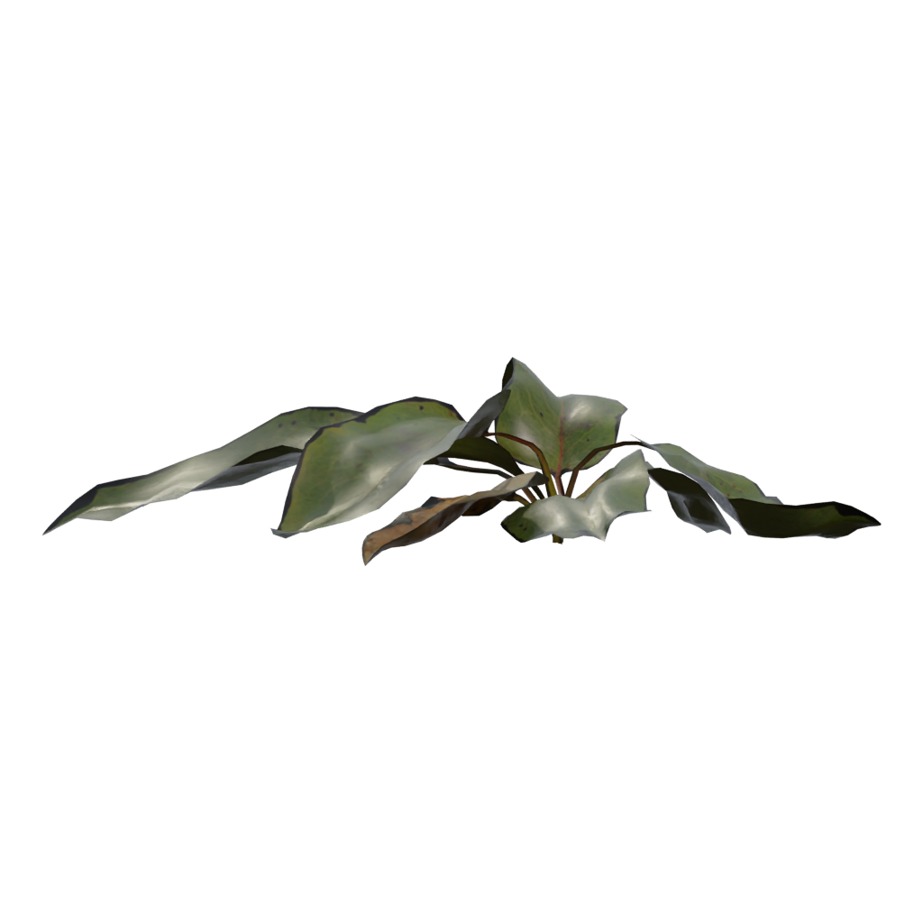 Left view of the Weed Plant 3D model