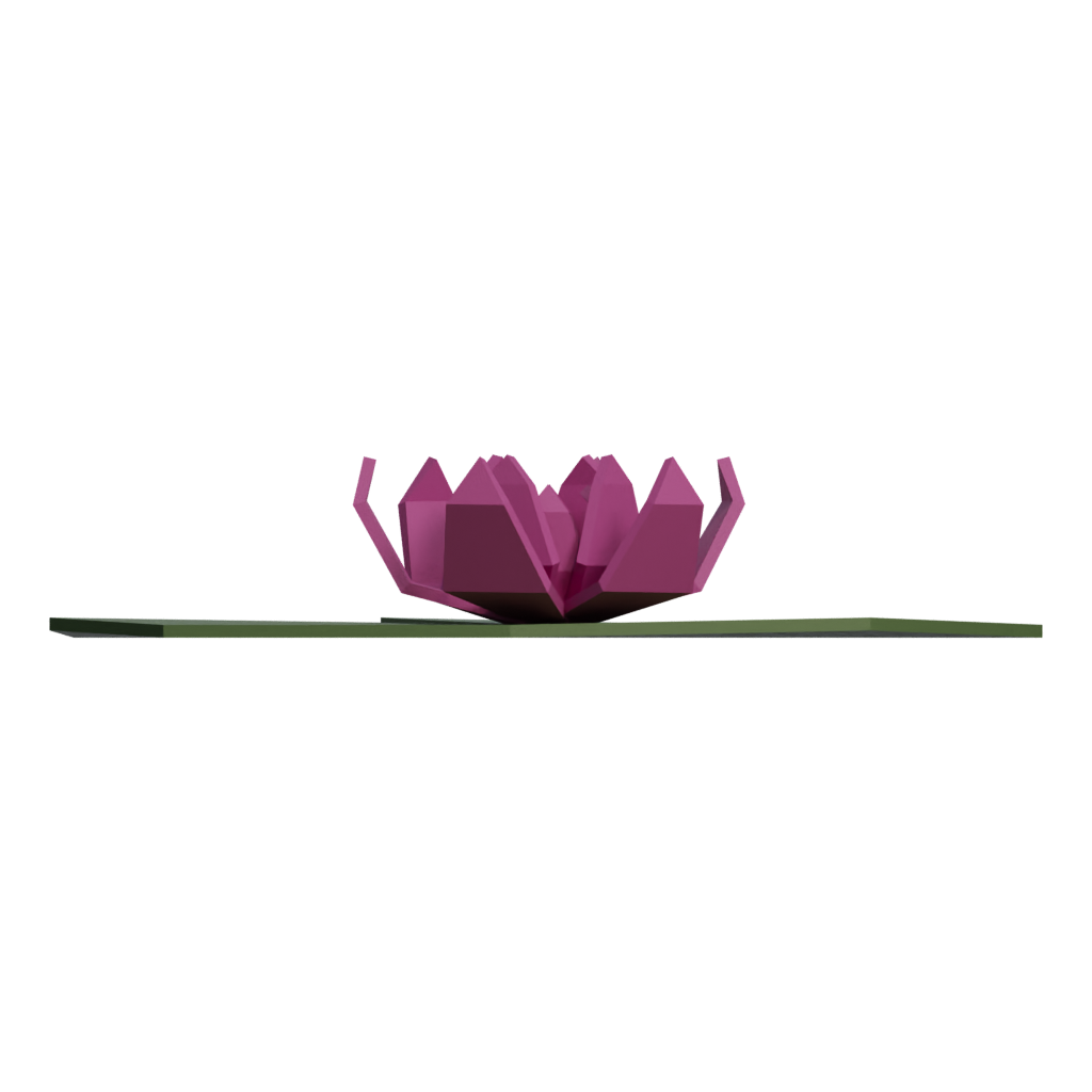 Back view of the Water Lily 3D model