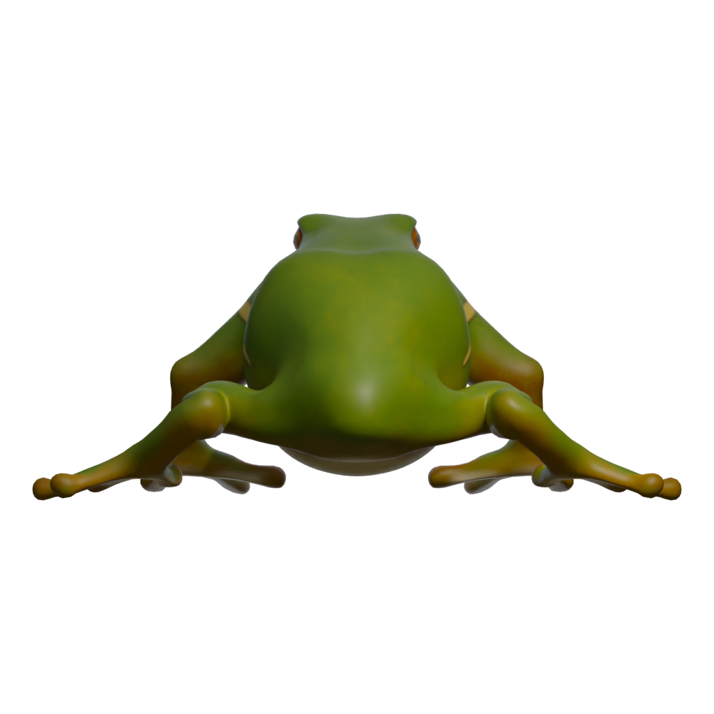 Back view of the Frog 3D model