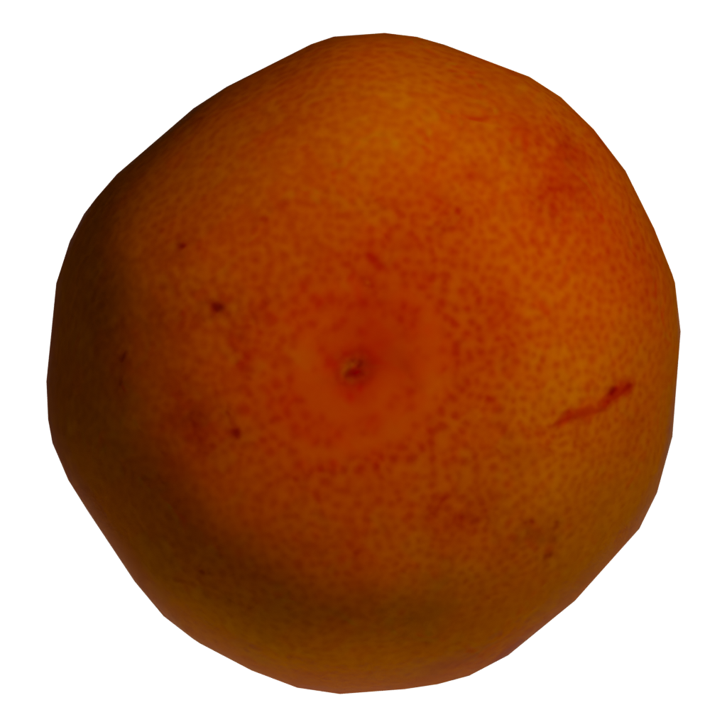 Bottom view of the Orange 3D model