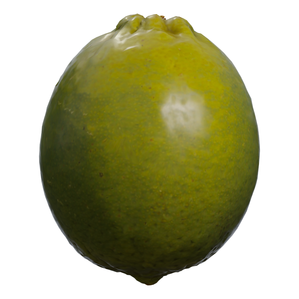Right view of the Lime 3D model