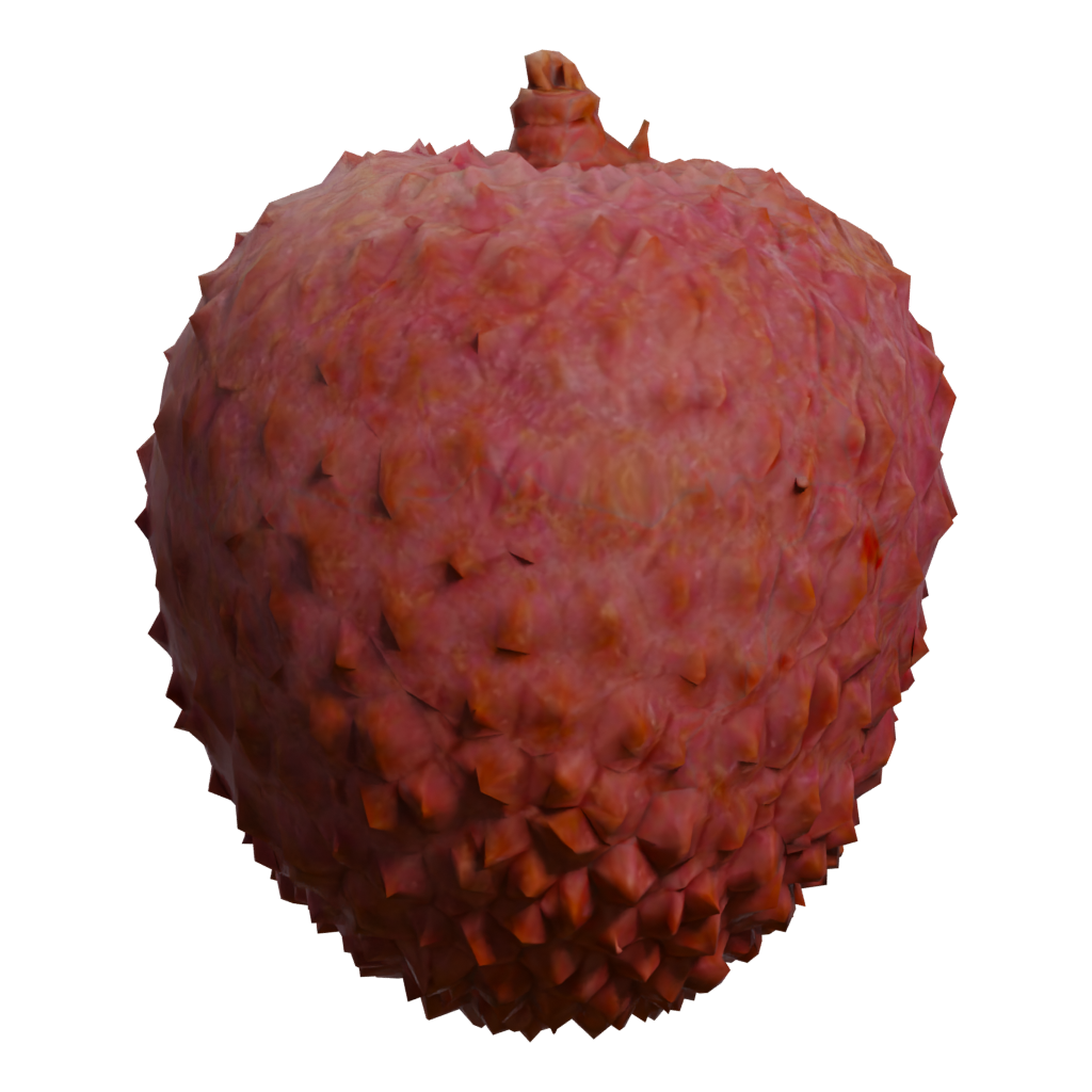Right view of the Lychee 3D model