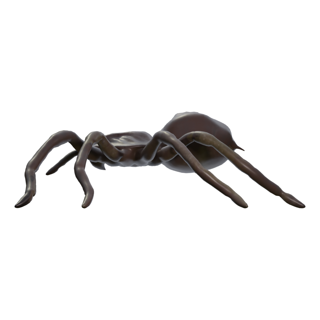 Left view of the Spider Low Poly 3D model