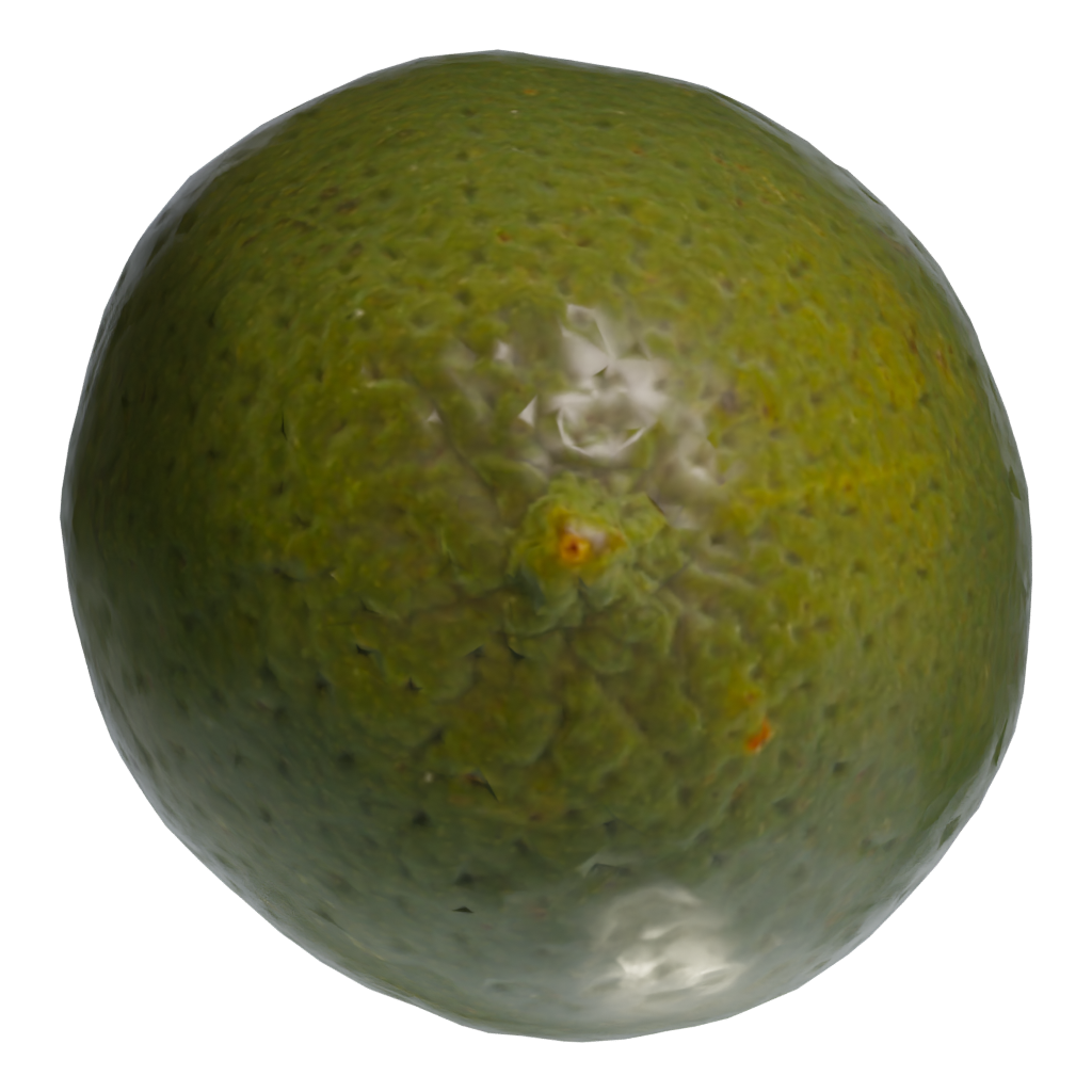 Bottom view of the Lime 3D model