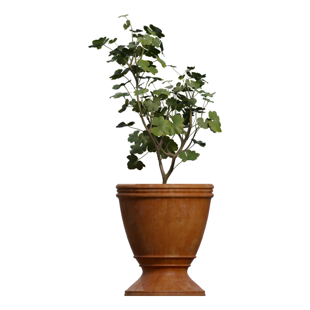 Right view of the Potted Plant 3D model