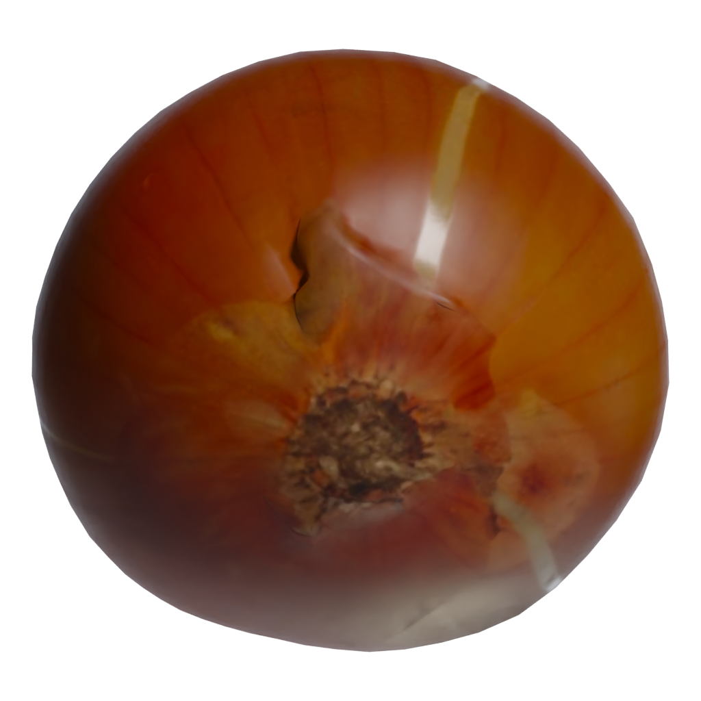 Bottom view of the Yellow Onion 3D model