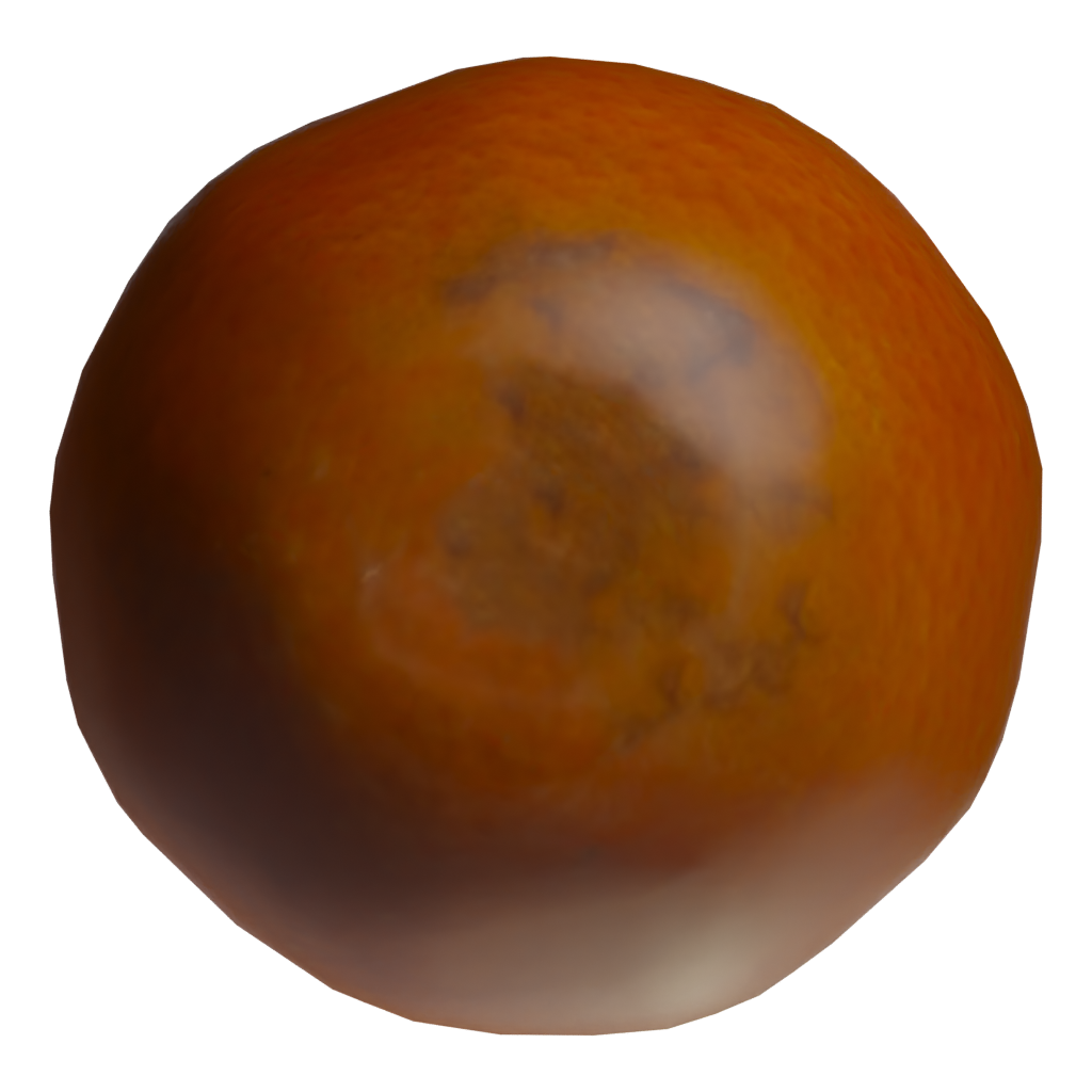 Bottom view of the Greyfruit 3D model